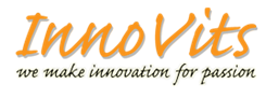 Innovits is a no-profit association helping wanna-be Entrepreuners build their Business Model